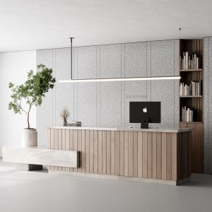 Reception Desk And Wall Decor - Office Furniture 2