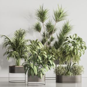 Hanging Plants And Indoor Plant Set 60
