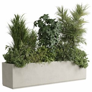 Concrete Box Plants On Stand - Set Indoor Plant 44