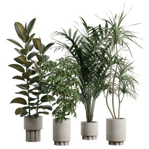 Indoor Plants Pack 60