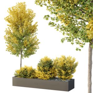 Hq Tree And Bush Garden Box Outdoor  Vol 42