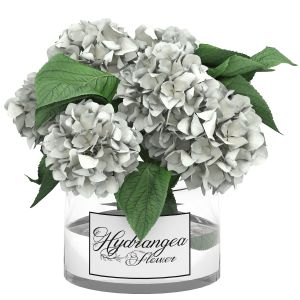Glass Vase Of White Hydrangea Flowers
