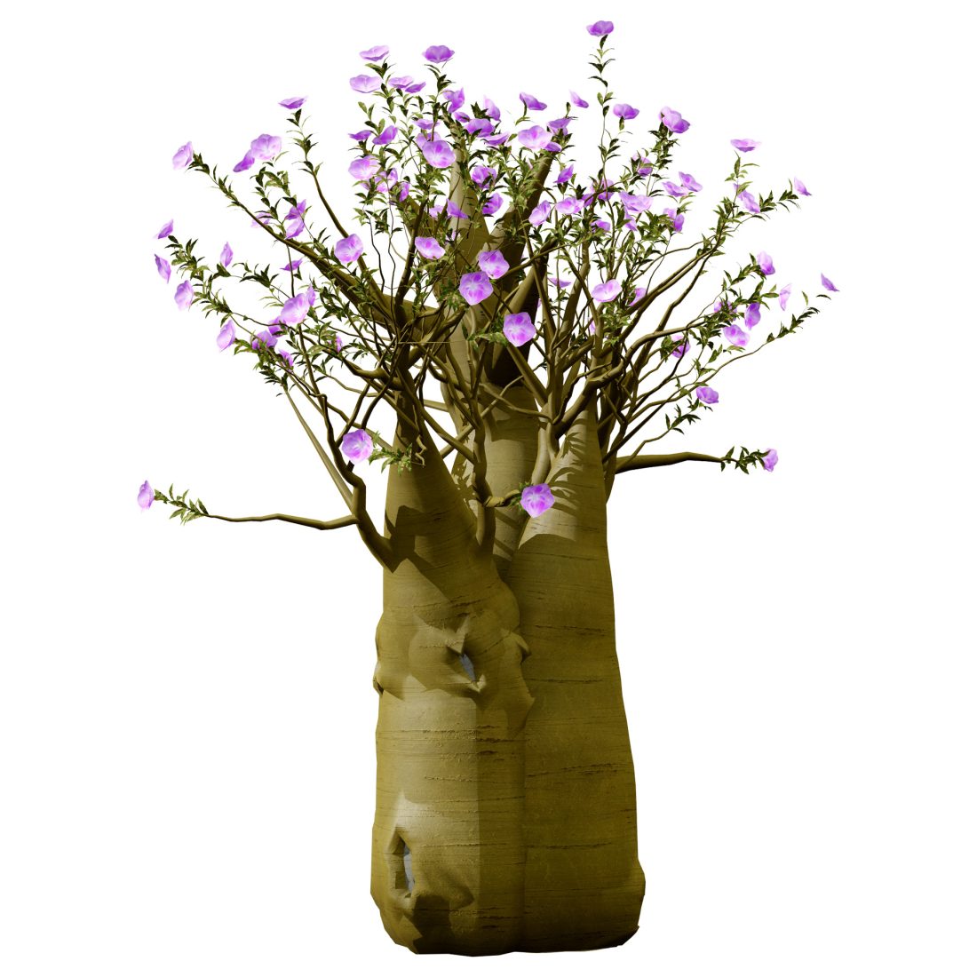 Arabian Kudu Trees 3d Models - 3D Model for VRay, Corona