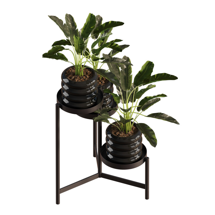 Banana Plant Set Ikea Olivblad 1 3D Model for Corona | CGMood
