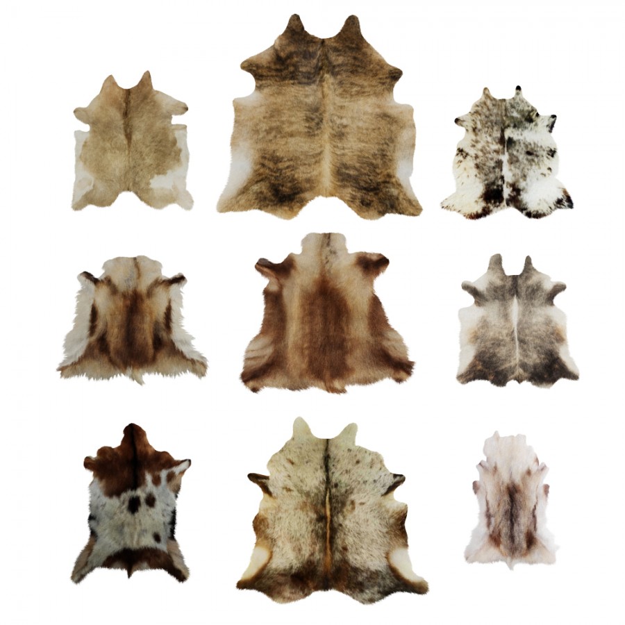Nine Rugs From Animal Skins 10 - 3D Model for VRay
