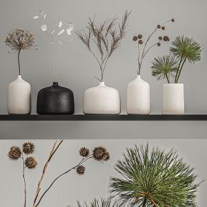 Collection Of Bouquets Of Dried Flowers 210
