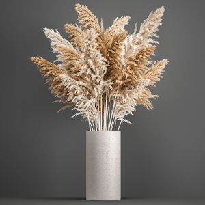 Decorative Bouquet Of Dried Pampas Grass 192