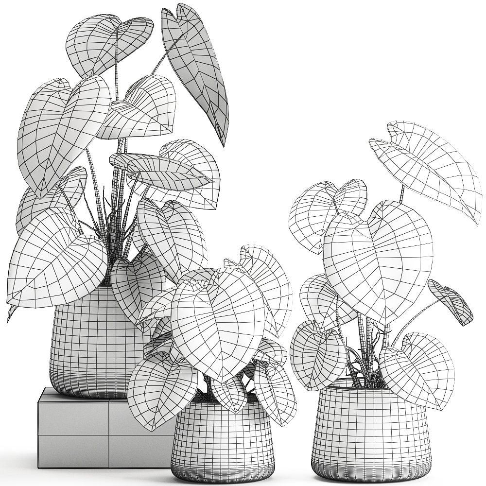 caring for philodendron ivy Philodendron Cordatum – Easy-Care Heartleaf Vine for Home & Office – The  Garland Guy