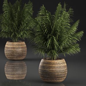 Decorative Palm In A Basket 827