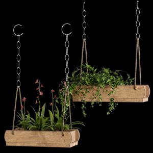 Hanging Plants 6