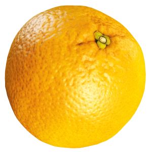 Scanned 4k Orange