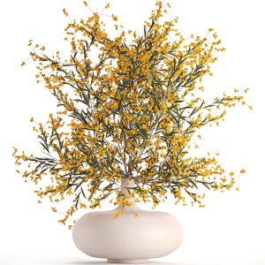 Bouquet Of Branches With Yellow Berries 96
