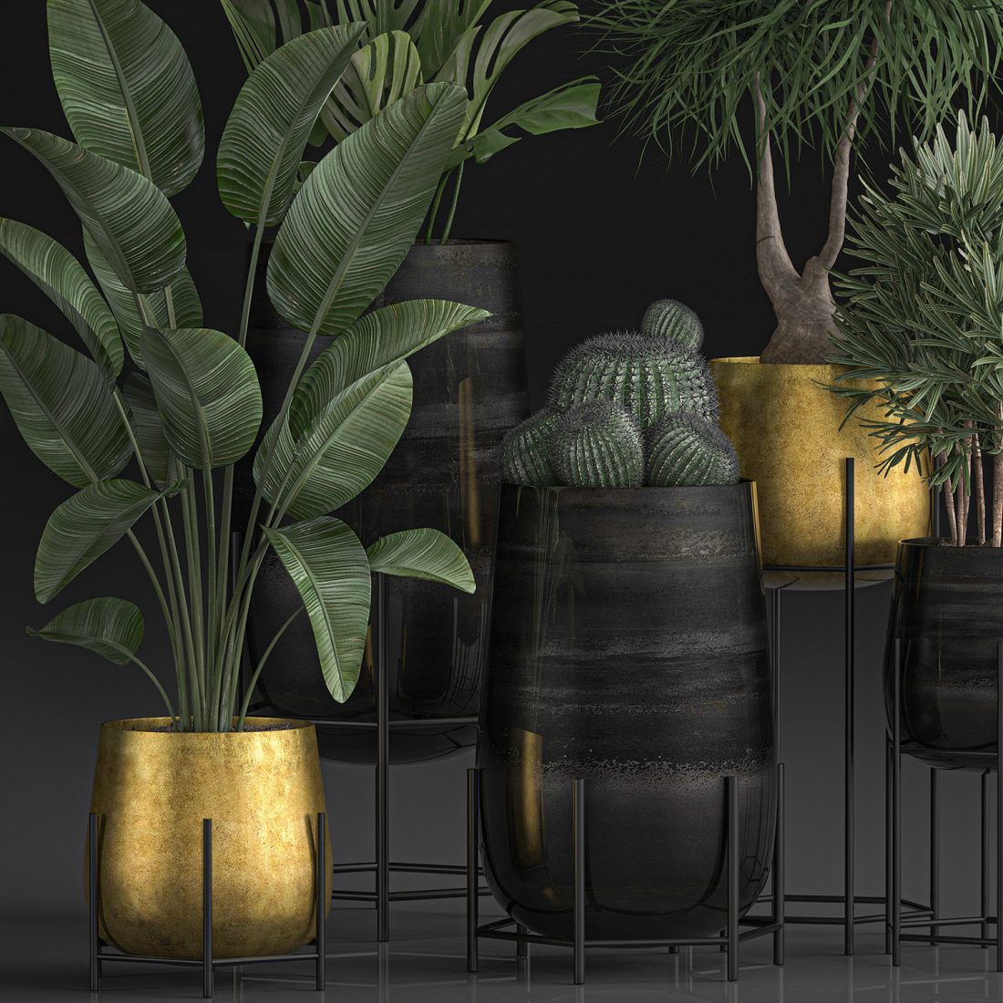 Plants In Luxury Gold Pots For The Interior 545