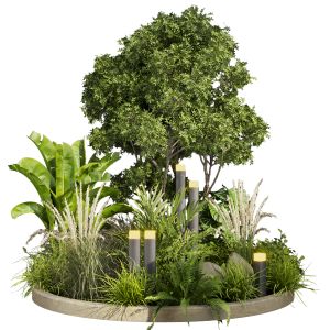 Collection Plant Vol 418 - Leaf - Outdoor - Garden