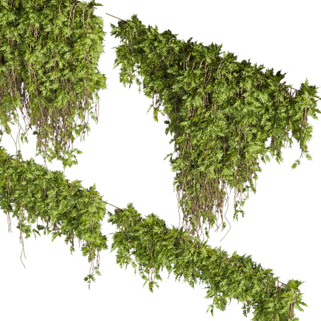 Collection Plant Vol 425 - Assord - Ivy - Outdoor - 3D Model for VRay ...
