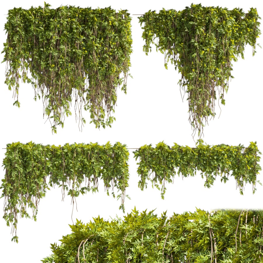 Collection Plant Vol 425 - Assord - Ivy - Outdoor - 3D Model for VRay ...