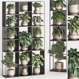 Indoor Plant And Vertical Plant In Box Set 91