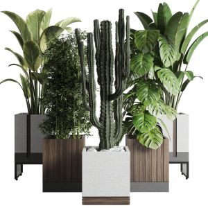 Indoor Outdoor Plant Set 334 Dirty Wooden And Conc
