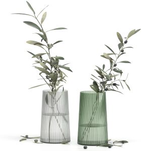 Olive Branches in a Vase Set3