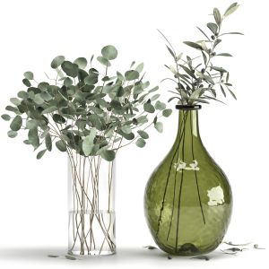 Eucalyptus and Olive Branches in Vases Set1