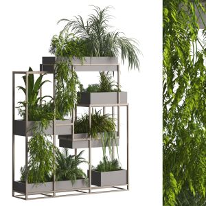 Interior Vertical Plant In Box Set 336