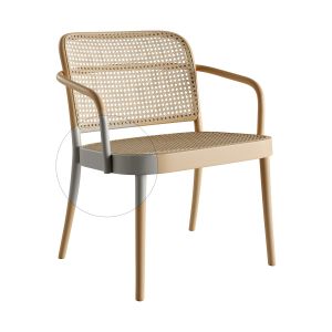 811 Lounge Armchair And Chair 365 By Ton