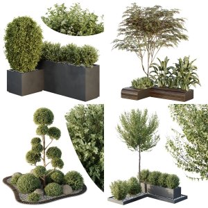 20 Different SETS of Plant outdoor. SET VOL138