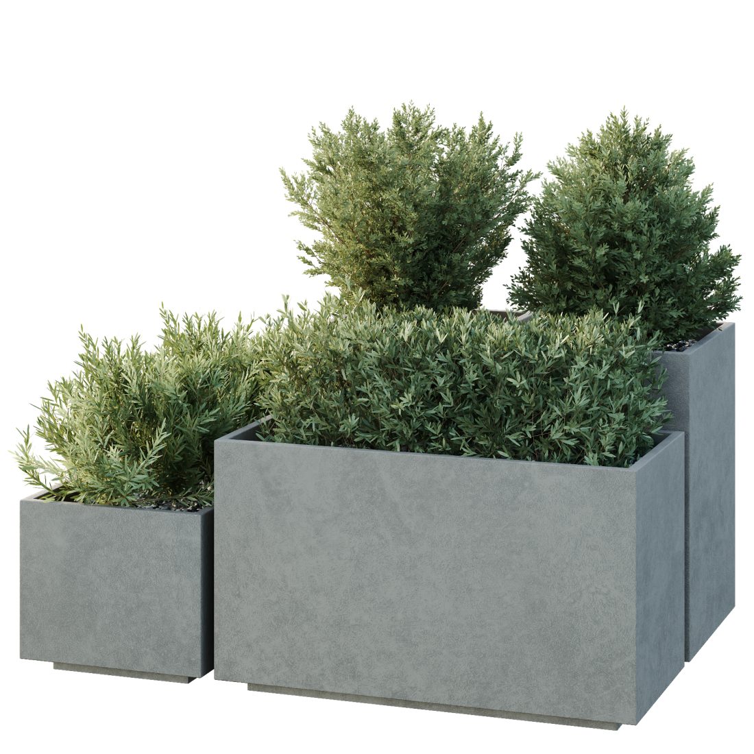 Box Bush Three Hq Tree And Bush Garden Box Outdoor Vol 52 3D Model for VRay, Corona ...