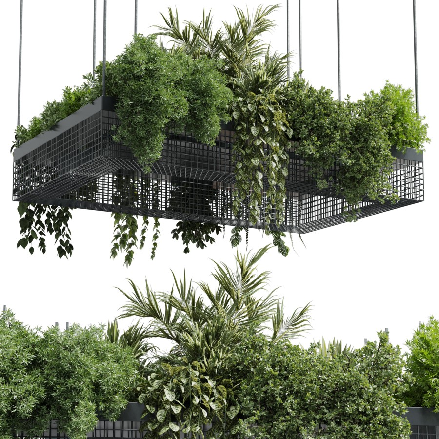Hanging Plants - Indoor Plant Set 447 Rectangle Pe 3D Model for Corona |  CGMood