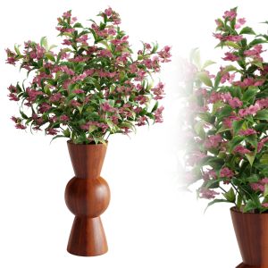 Weigelia Plant In Acacia Wood Vases