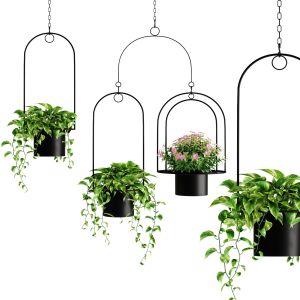 Set 2 Plant Hanger Mou Ceiling