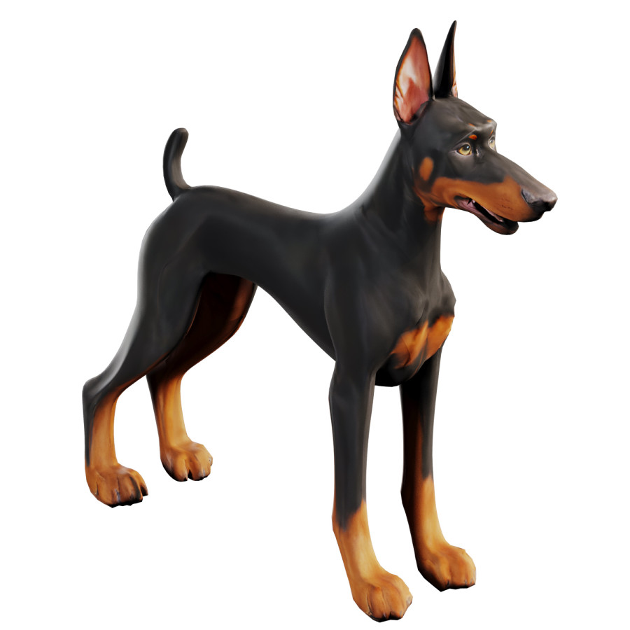 Doberman by Bogdan Postlny