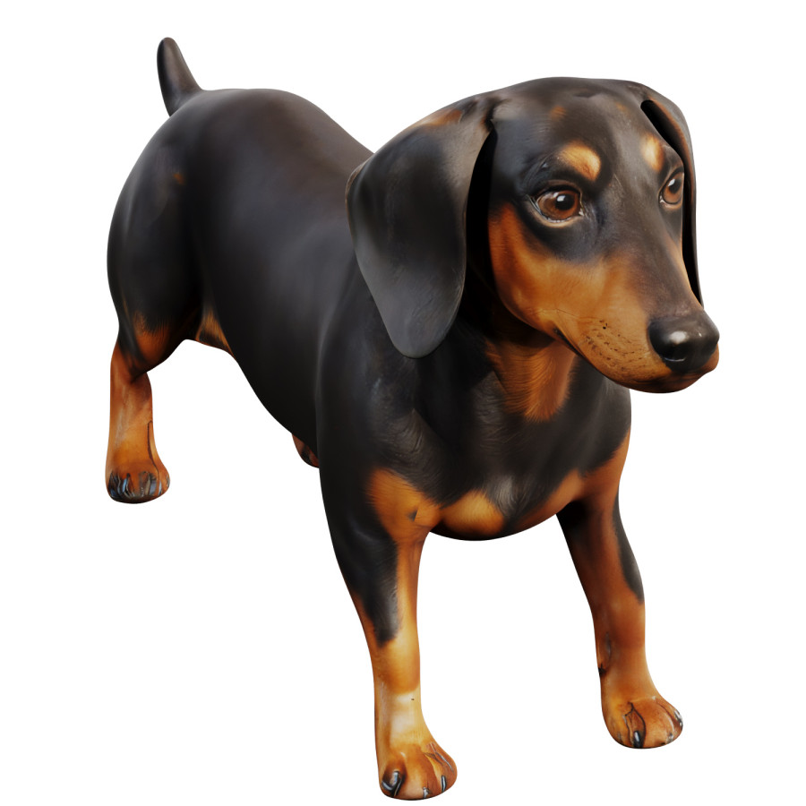 Dachshund by Bogdan Postlny