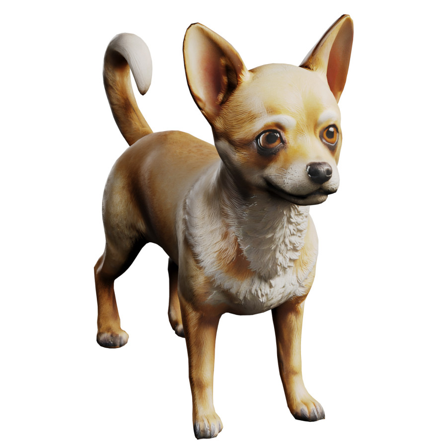 Chihuahua by Bogdan Postlny