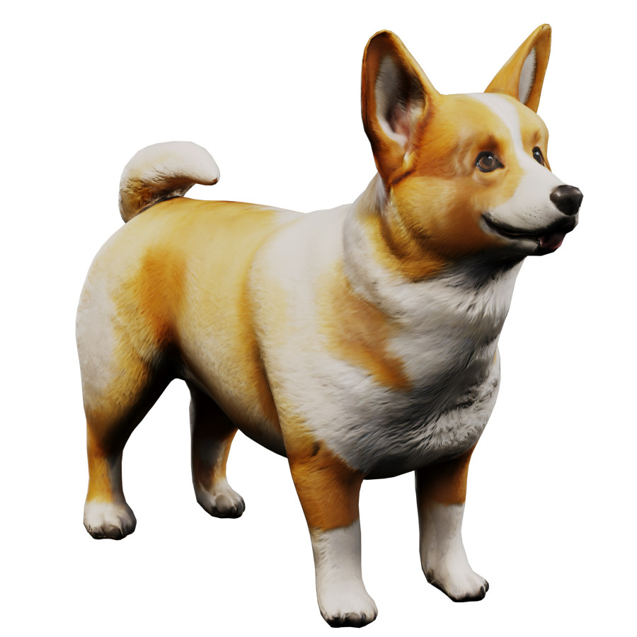 Corgi by Bogdan Postlny