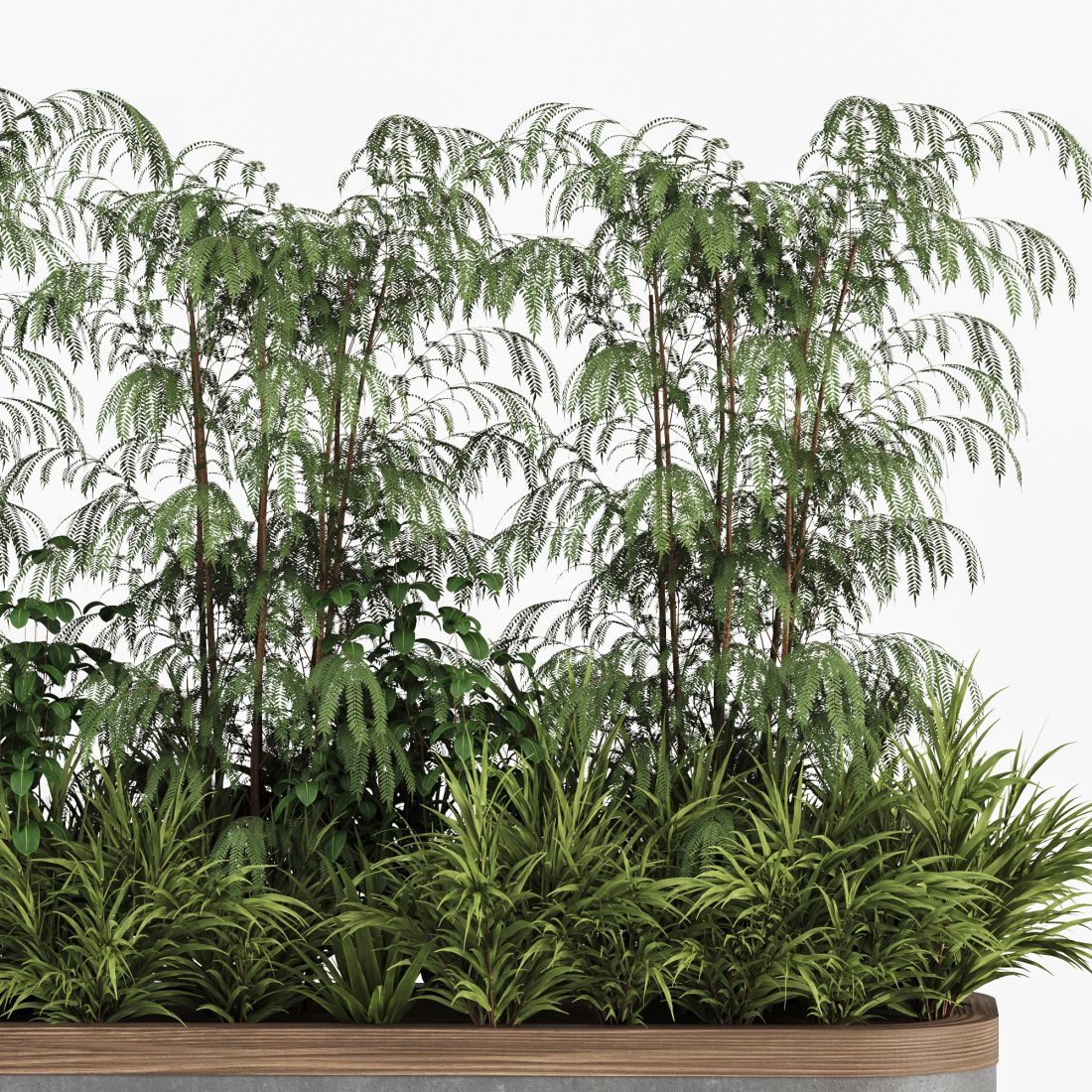Plants In Box Set-151 3D Model for VRay, Corona | CGMood