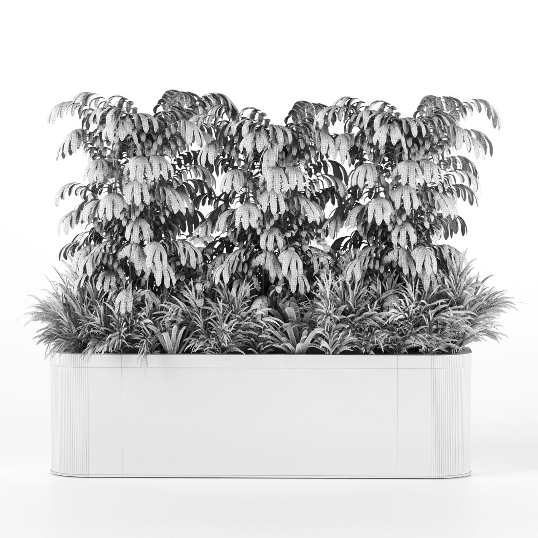 Plants In Box Set-151 3D Model for VRay, Corona | CGMood