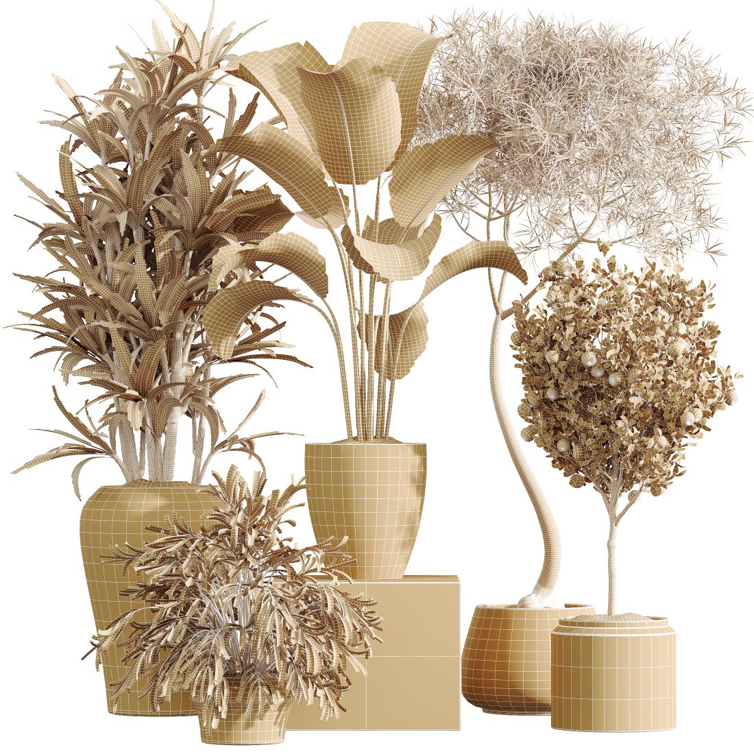Av Indoor Plants Set 423 Orange Calathea Ficus - 3D Model for VRay, Corona
